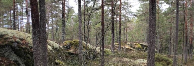 Treningsløp 02-2024 Mossemarka/ Skaran - fra Kolsrødveien